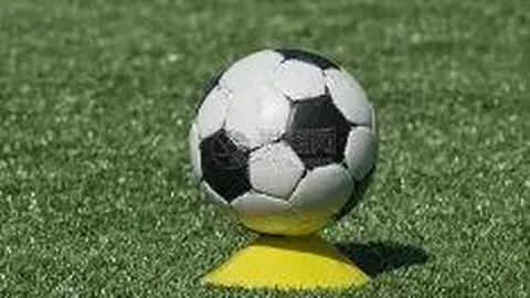 千亿体育 产品 112751 pnh